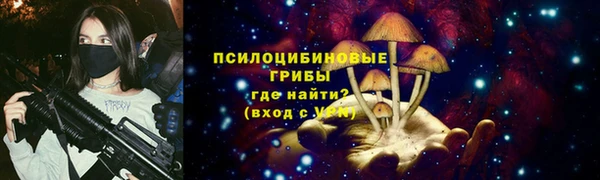 альфа пвп Нязепетровск
