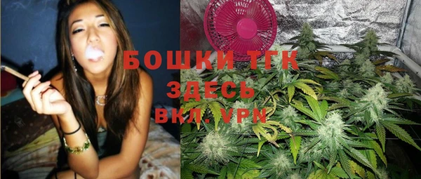 твердый Нягань
