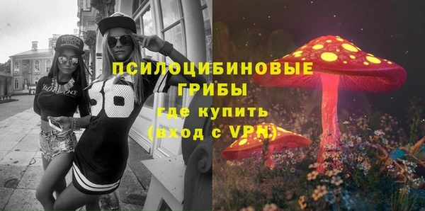 ешки Новокубанск