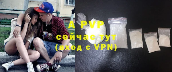 стафф Нефтегорск