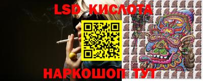 трава Гатчина