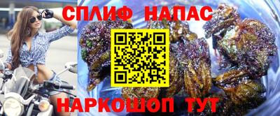 mdpv Гатчина