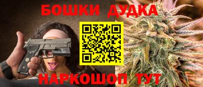 индика Гагарин