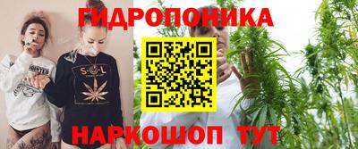 mdpv Гатчина