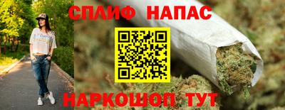 гашик Гусь-Хрустальный