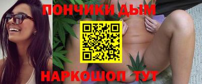 mdpv Гатчина