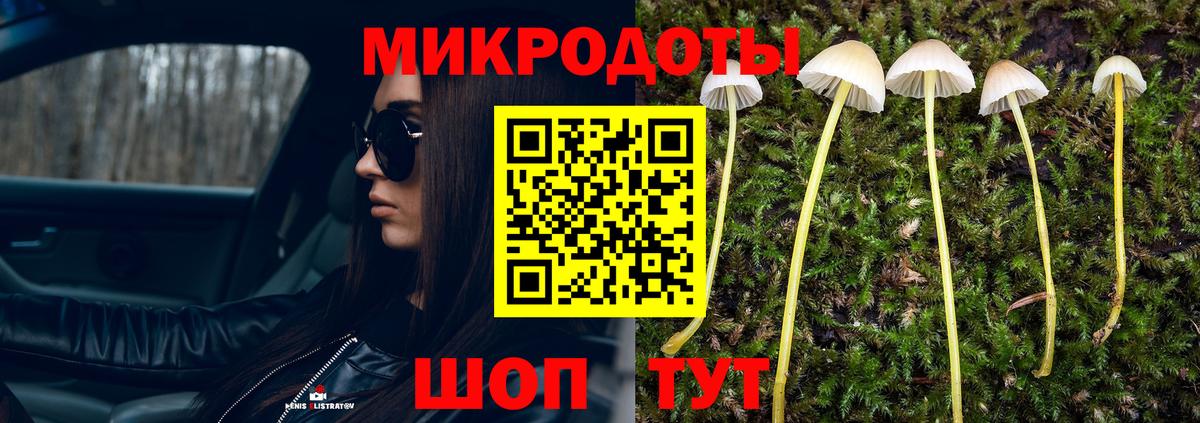 Каменка  Галлюциногенные грибы MAGIC MUSHROOMS  Вход с VPN  Галлюциногенные грибы ЛСД 