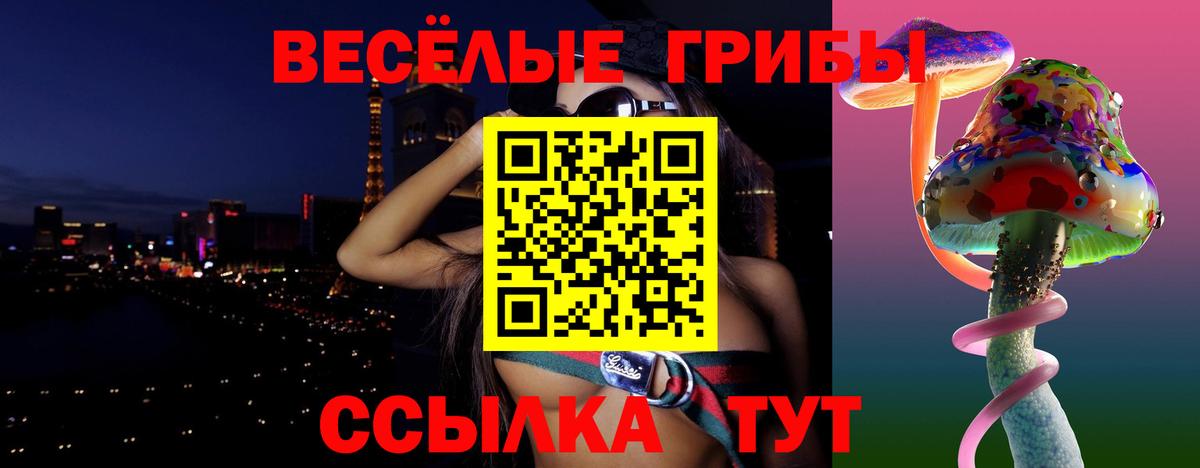 Галлюциногенные грибы GOLDEN TEACHER Каменка