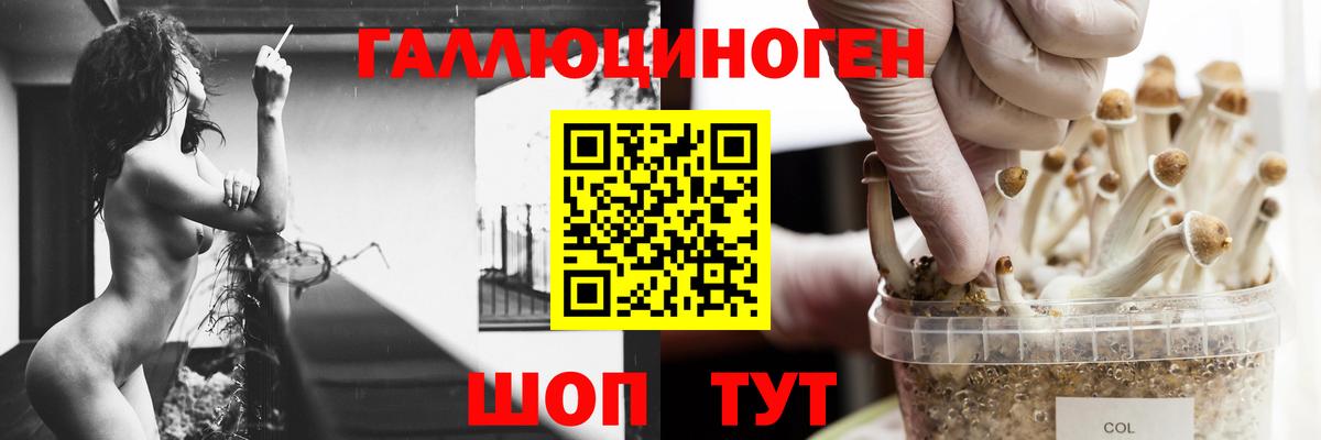 Псилоцибиновые грибы MAGIC MUSHROOMS  Каменка  Галлюциногенные грибы MAGIC MUSHROOMS 