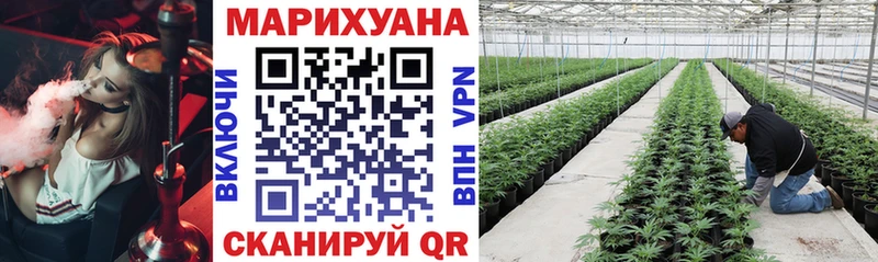 мега ссылка  Каменка  Каннабис Amnesia  даркнет сайт 