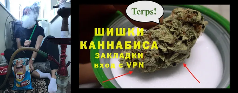 Шишки марихуана White Widow  нарко площадка официальный сайт  Каменка  как найти наркотики 