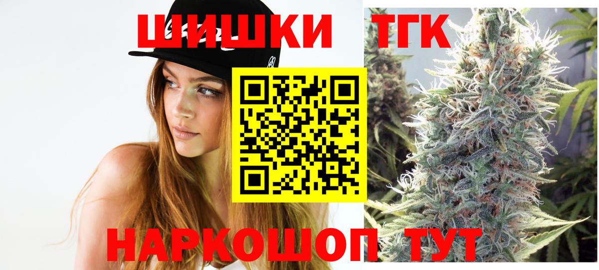 МЕФ Каменка