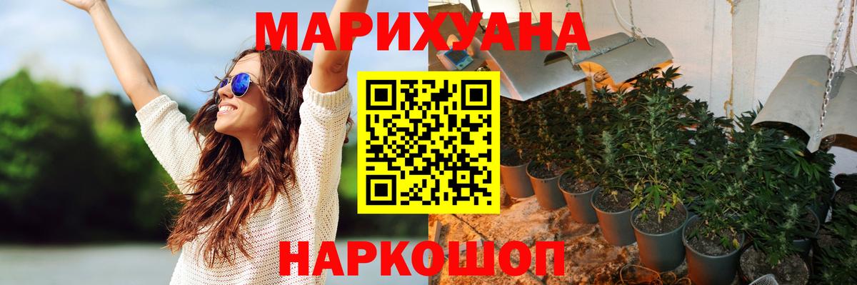 Канабис семена  Каменка  МАРИХУАНА план  Шишки марихуана ГИДРОПОН 